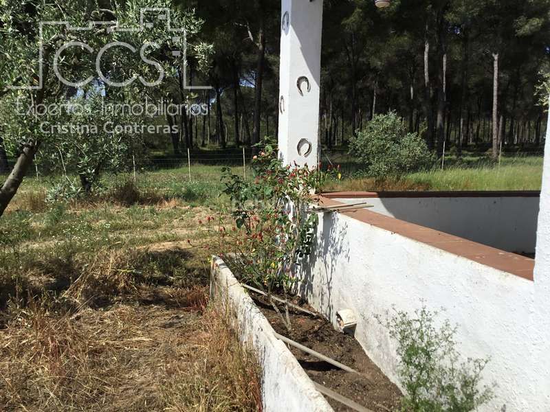 Foto 353b8cca-6a99-4e86-ae98-a1719505fa3b. Masia a Almonte Almonte