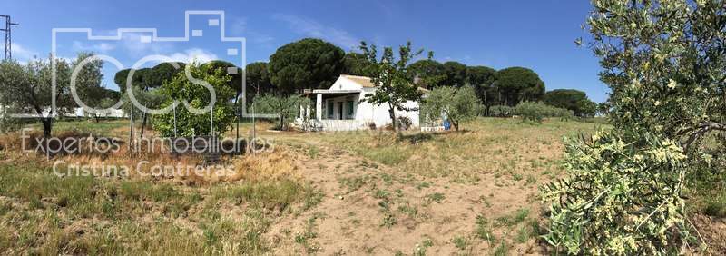 Foto 53e36549-f85d-481a-ae2f-3cd9774f8043. Masia a Almonte Almonte