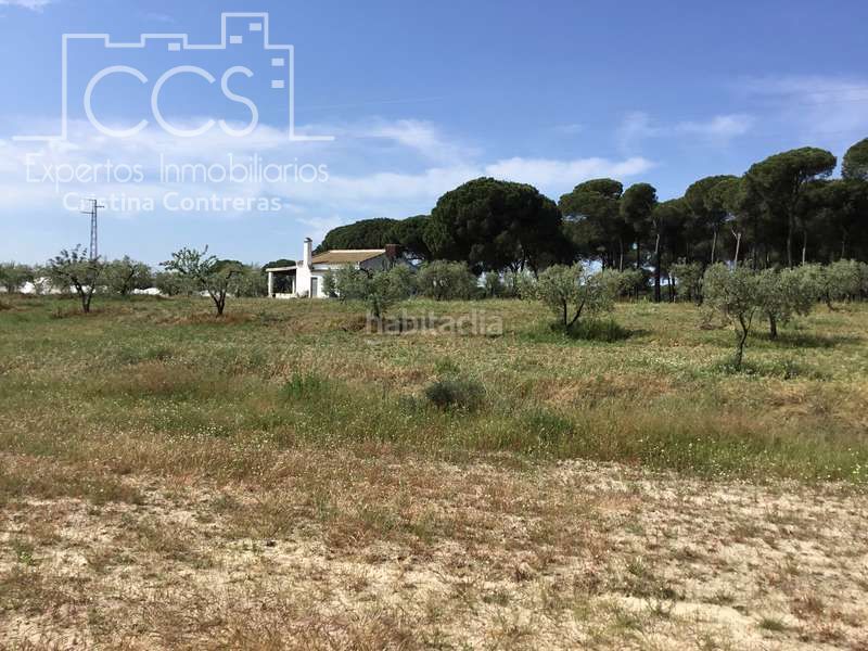 Foto 5d9868a2-6e64-4141-9120-e2d5ed0d38c2. Masia a Almonte Almonte