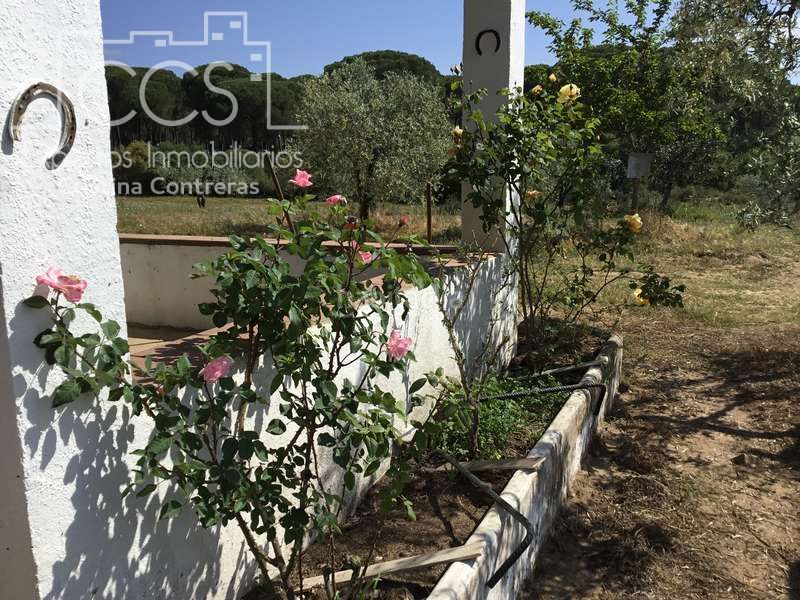 Foto 61d56dd9-8e0e-459b-9edc-908d2a714af6. Masia a Almonte Almonte