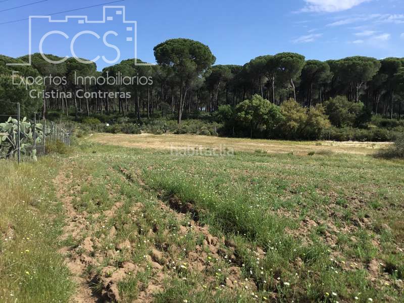 Foto 64b1bace-4518-4b83-a255-9dcefea6630c. Masia a Almonte Almonte