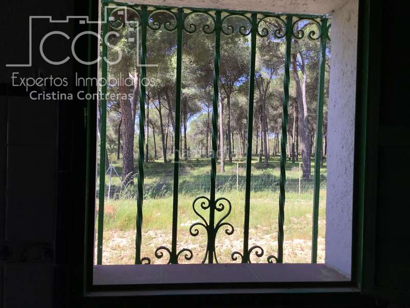 Foto 6f5dd1d3-8f66-460e-b1bd-e5a391f7c2af. Masia a Almonte Almonte