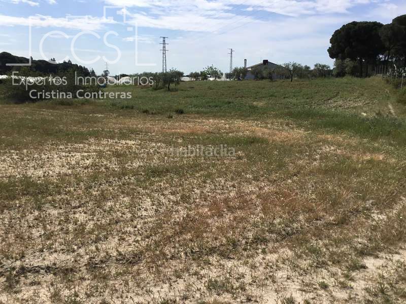 Foto 7519509c-1a8d-4fa3-898a-c604051b3220. Masia a Almonte Almonte