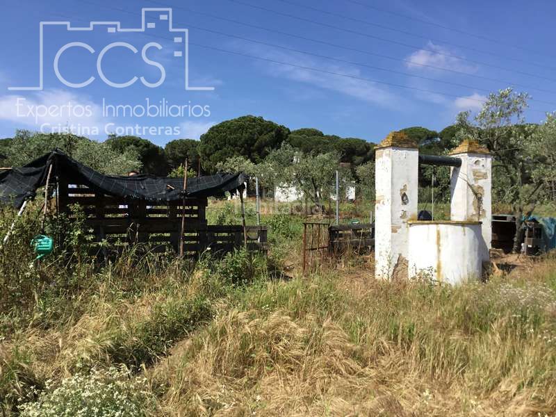 Foto 7f268240-7494-46d1-87d0-15835298c16c. Masia a Almonte Almonte