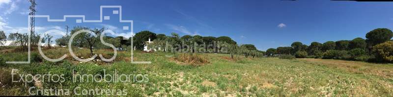 Foto 83c8c914-2d2a-444f-9350-a1c858b40c50. Masia a Almonte Almonte