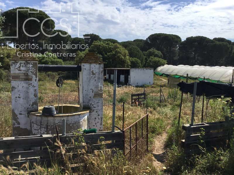 Foto 979bc6b0-711d-4265-8caa-a6887f765156. Masia a Almonte Almonte