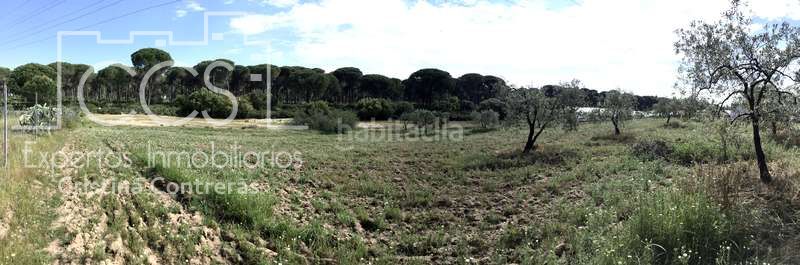 Foto 991186a2-d30f-4877-8473-27f28d740994. Masia a Almonte Almonte