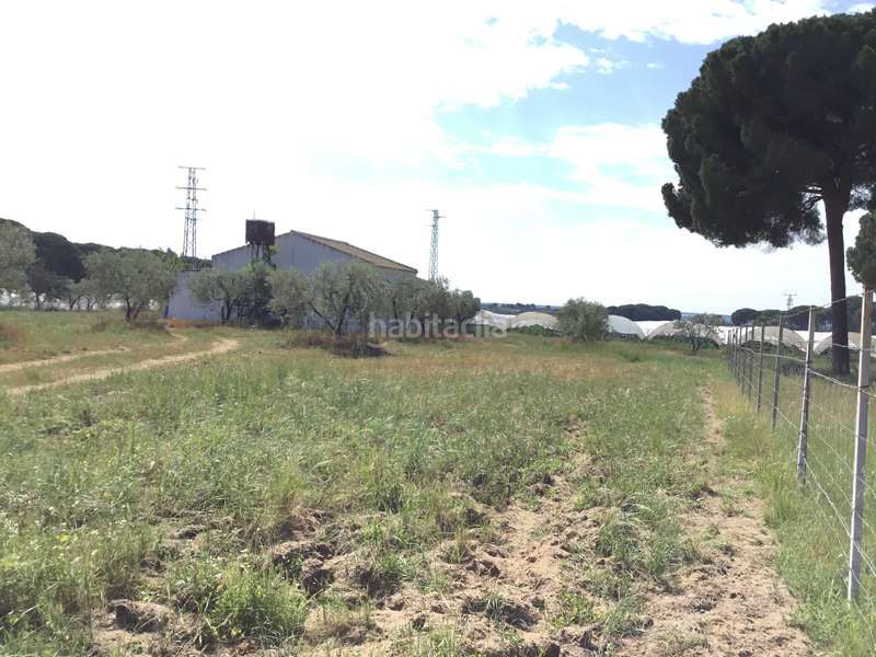 Foto a632502c-4ceb-4fda-ab27-6c76d5bd30e3. Masia a Almonte Almonte