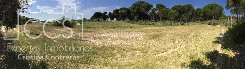 Foto a679e487-fa0f-4d10-8505-ab60f0ddd15d. Masia a Almonte Almonte