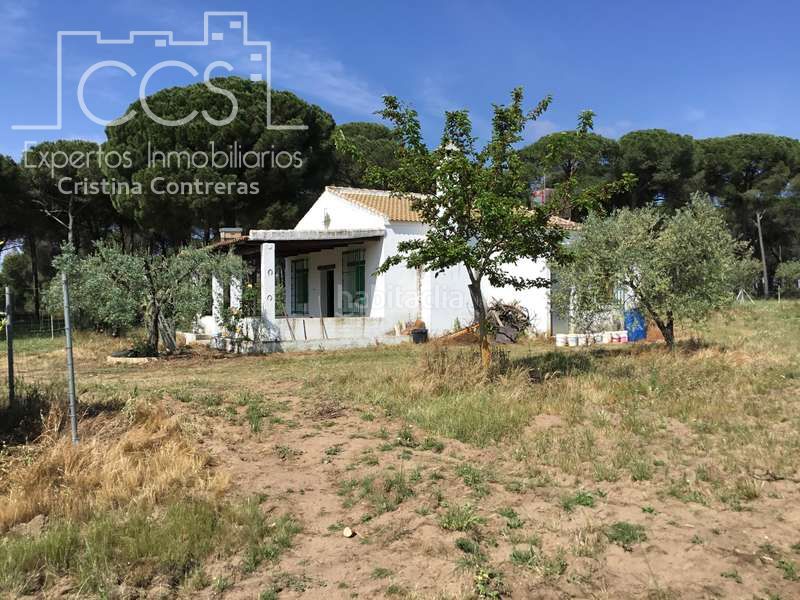 Foto b0791180-6217-4b29-a822-22cc1b675fed. Masia a Almonte Almonte