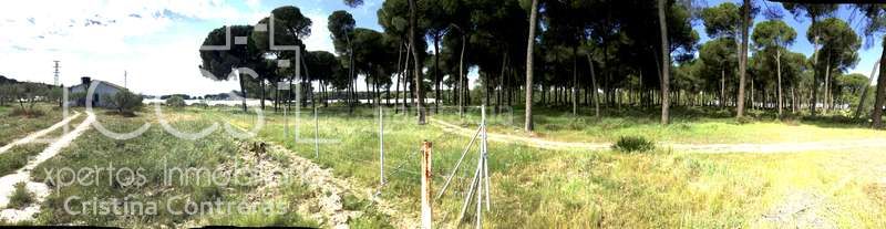 Foto bd049228-6617-4d1f-bd25-a03f47feed22. Masia a Almonte Almonte