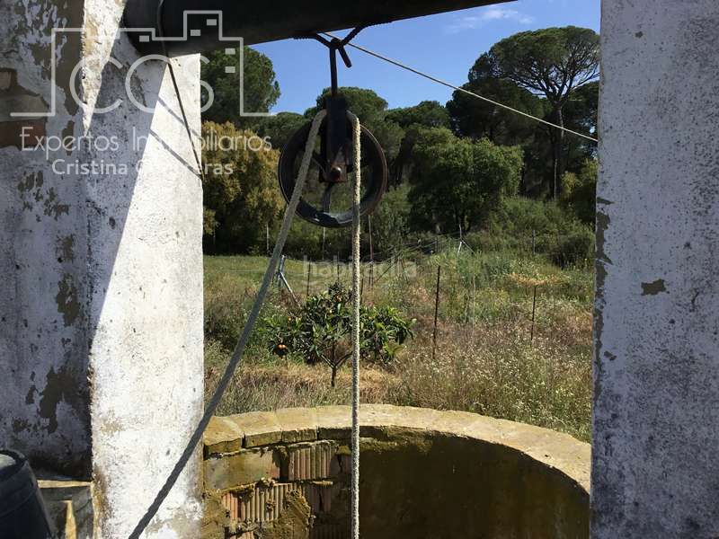 Foto c5b56f39-a23c-458c-afea-2796ac4f75d3. Masia a Almonte Almonte