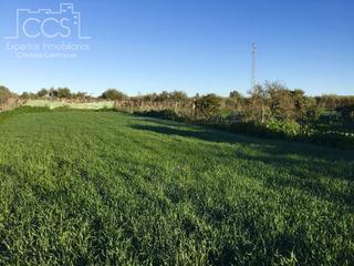Mas à Pilas. Venta de finca de 8.496 m2 de terreno con una construcción de 14