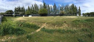 Country house in Almonte. Venta de finca en propiedad de 8.450m2 de terreno y en concesión