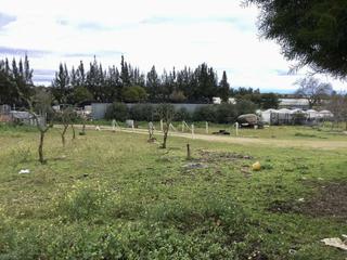 Masia a Almonte. Venta de finca en propiedad de 8.450m2 de terreno y en concesión