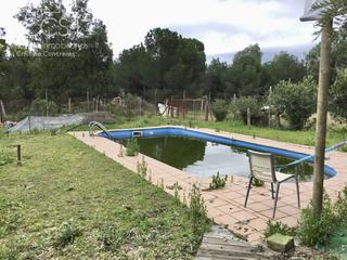Masía en Almonte. Venta de finca en propiedad de 8.450m2 de terreno y en concesión