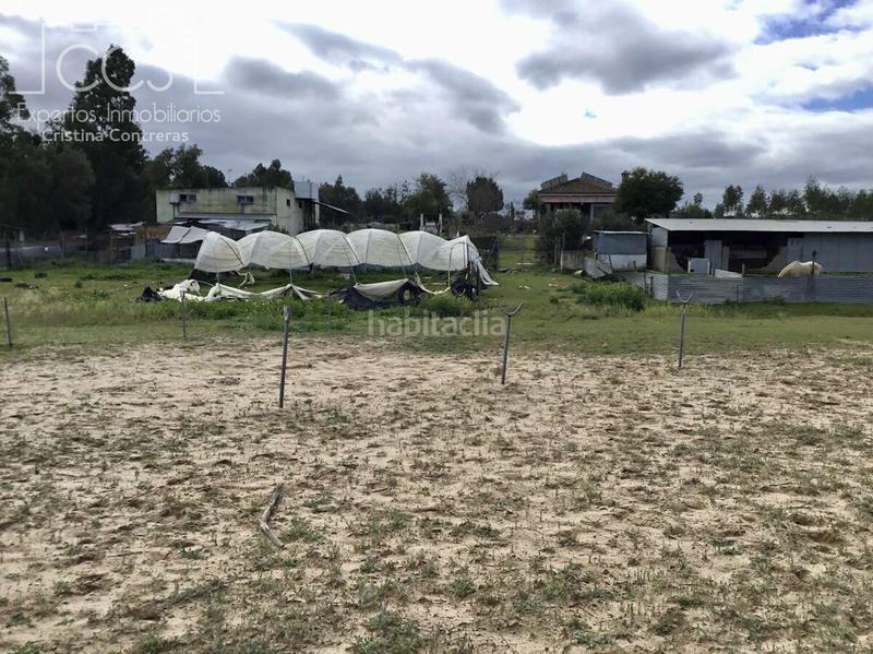Foto 4a53214c-07fd-426e-b657-978404ff1213. Masía venta de finca en propiedad de 8.450m2 de terreno y en concesión de 3.300 m2 . en Almonte