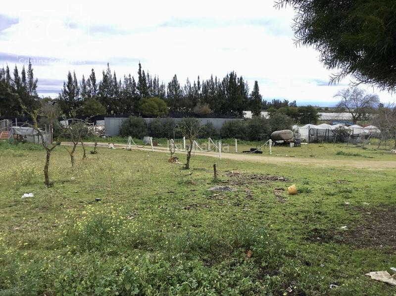 Foto 5daa86ca-9307-4047-9095-5fcb5f31499f. Masía venta de finca en propiedad de 8.450m2 de terreno y en concesión de 3.300 m2 . en Almonte