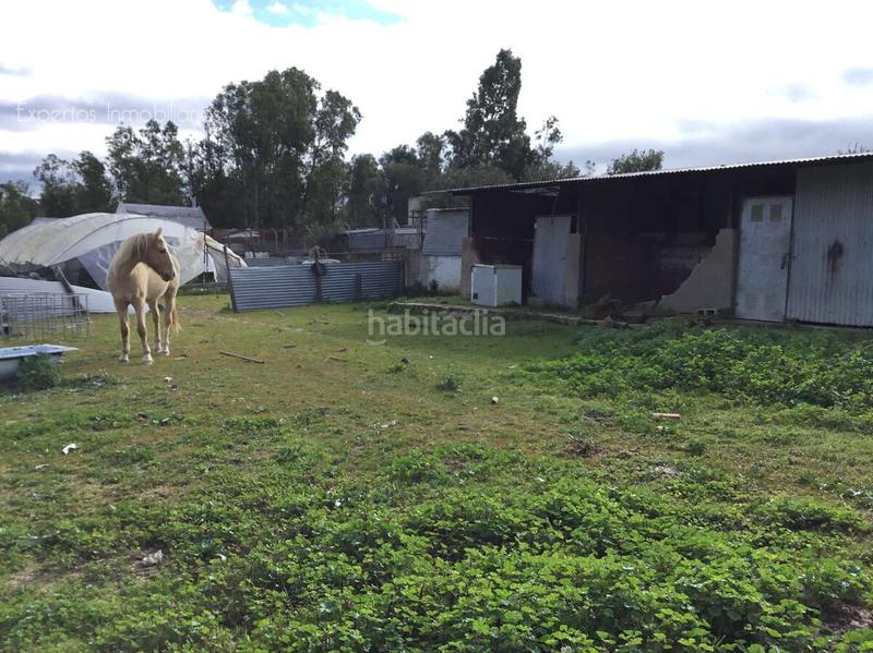 Foto 73d6a943-b329-4aae-8678-f86326bcf310. Masía venta de finca en propiedad de 8.450m2 de terreno y en concesión de 3.300 m2 . en Almonte