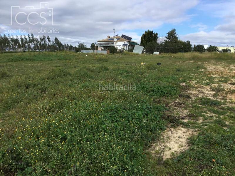 Foto 858ef022-df23-46ad-b094-b34eb0e661b6. Masía venta de finca en propiedad de 8.450m2 de terreno y en concesión de 3.300 m2 . en Almonte
