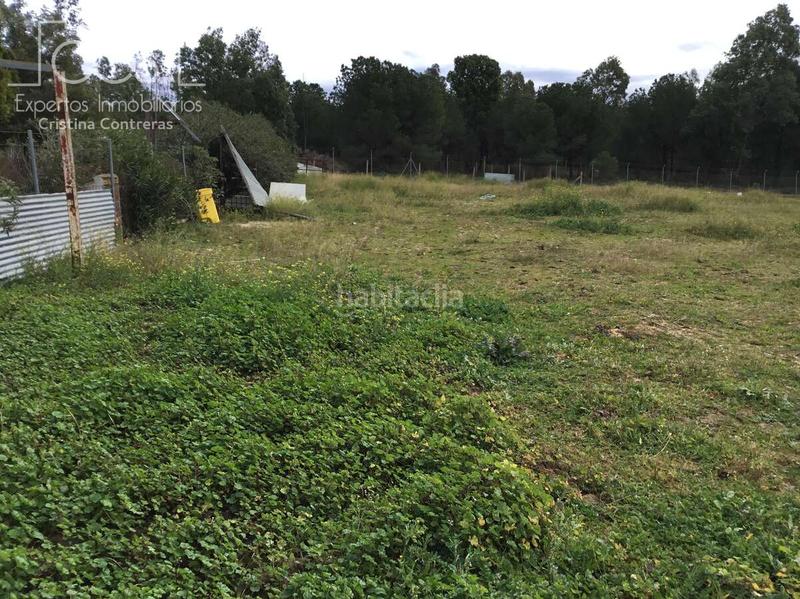 Foto 9412e3ec-6b6f-4fcd-ab05-8ff3d992cb12. Masía venta de finca en propiedad de 8.450m2 de terreno y en concesión de 3.300 m2 . en Almonte