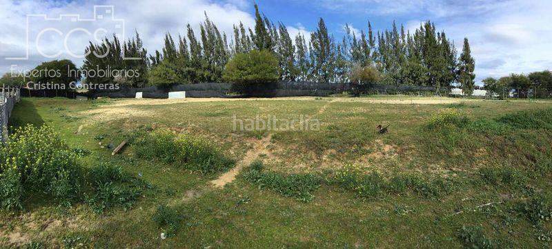 Foto a4da39c3-6976-41ea-8c7d-5c8a539e5d20. Masia amb piscina a Almonte Almonte