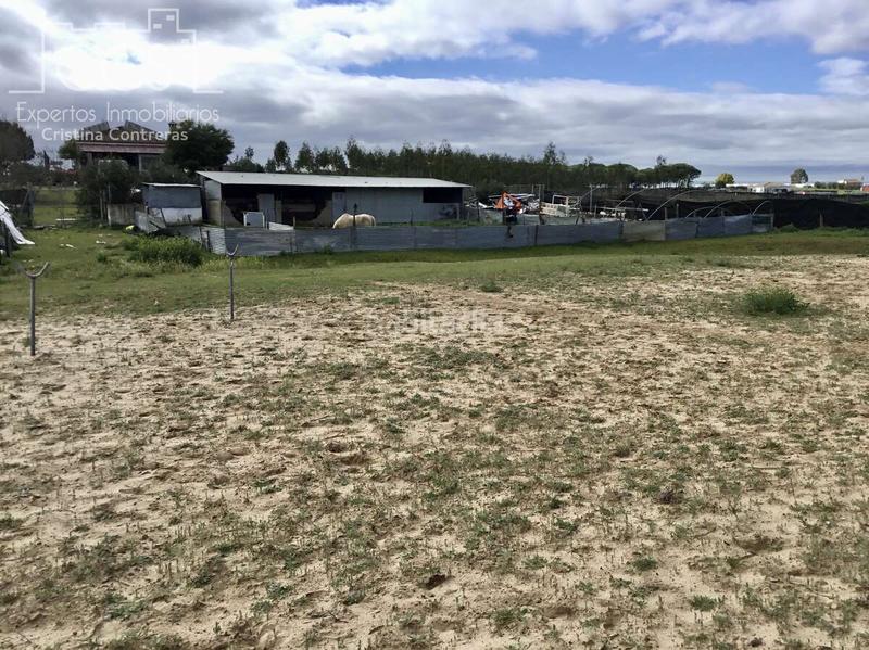 Foto b016dada-100e-4aa5-b434-12127ff21971. Masía venta de finca en propiedad de 8.450m2 de terreno y en concesión de 3.300 m2 . en Almonte