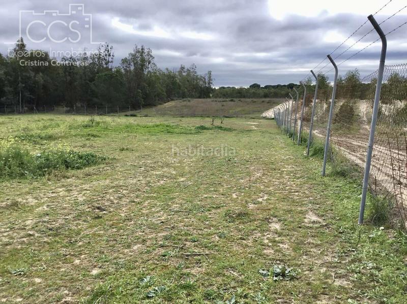 Foto c0c5500e-e8cd-44d0-a9f4-601ed03b3219. Masía venta de finca en propiedad de 8.450m2 de terreno y en concesión de 3.300 m2 . en Almonte