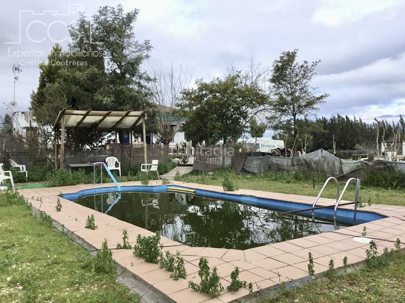 Foto c3e287be-b97b-4320-a8b0-d3670317b1d9. Masia amb piscina a Almonte Almonte