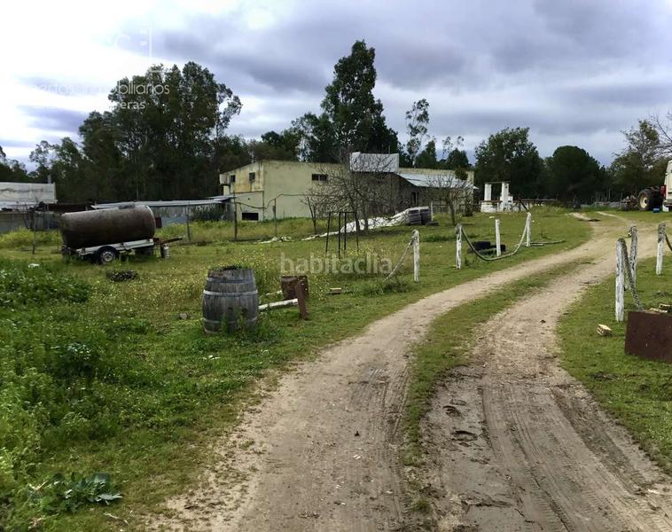 Foto e81cd6d8-9633-4147-b0df-c1b0df487cdf. Masía venta de finca en propiedad de 8.450m2 de terreno y en concesión de 3.300 m2 . en Almonte