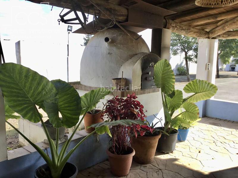 Foto 0632f6fd-6927-4214-9954-a5d69352f9bf. Mas dans Almonte Almonte