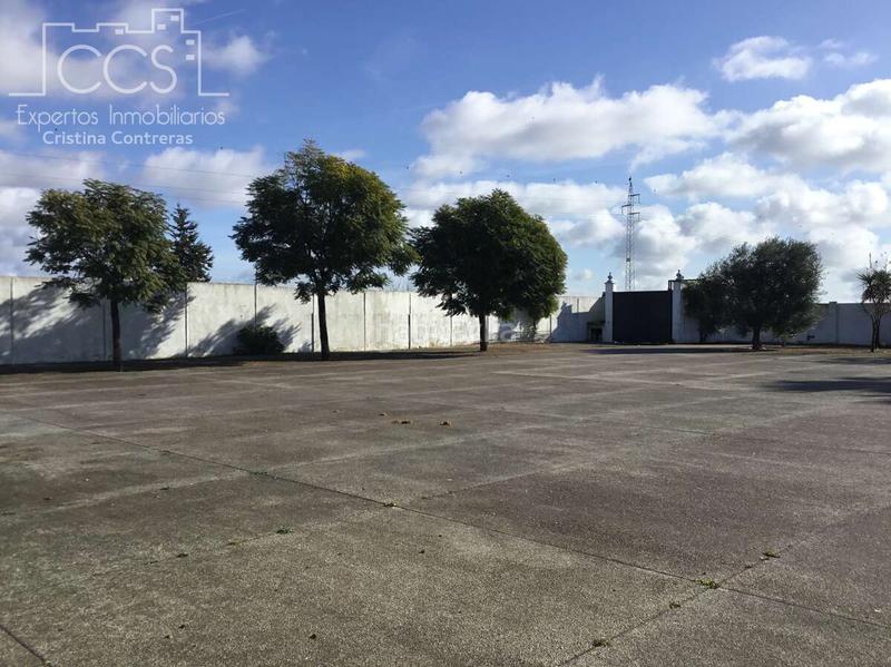 Foto 078beb3d-4338-4bc6-8d75-9fe27e1a52ef. Mas dans Almonte Almonte