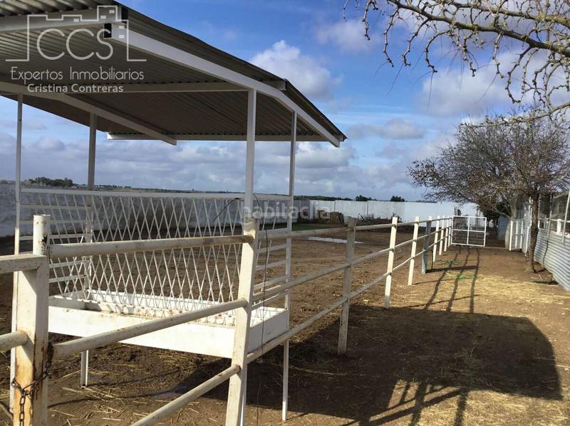 Foto 0ef93007-c6bd-47ed-af2f-b257ed0810b4. Mas dans Almonte Almonte