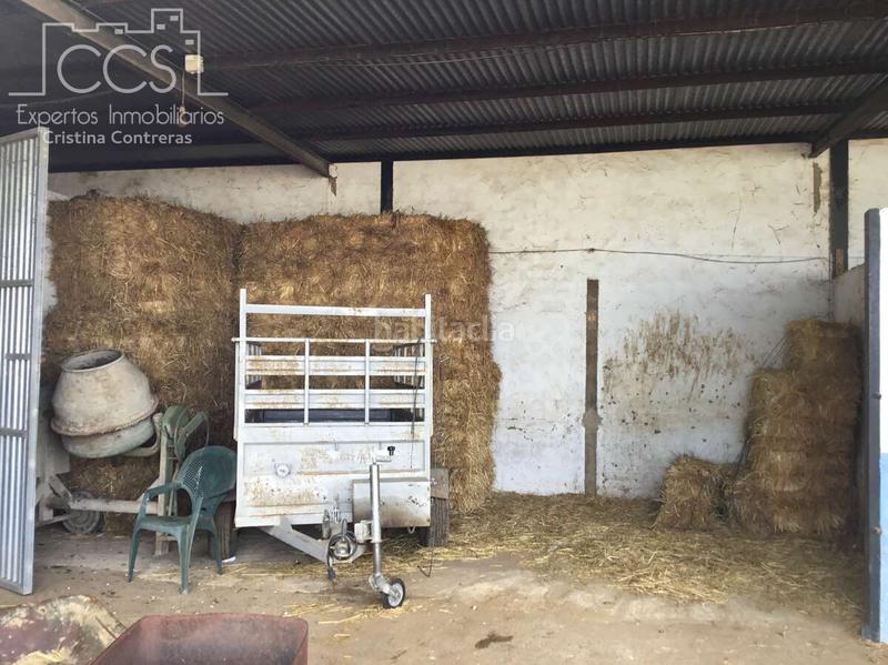 Foto 12787f41-e269-40db-95bf-c0e2eddb0b94. Mas dans Almonte Almonte