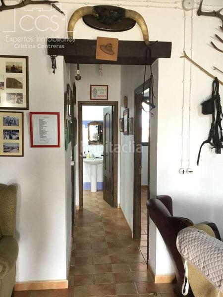 Foto 1f1ce1a1-6e74-4af1-96f8-4151512fe17f. Mas dans Almonte Almonte