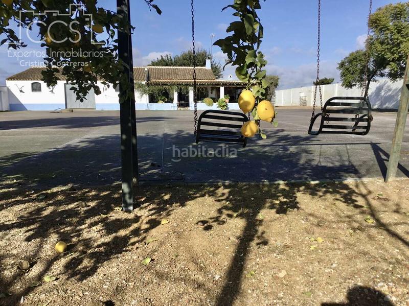 Foto 2c55000b-5f71-4371-9a68-255a5cc4ac2f. Mas dans Almonte Almonte