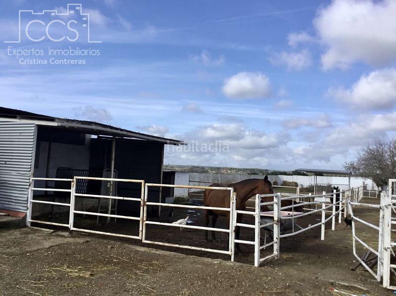 Foto 34ceae68-7516-46eb-9558-59156bc2cf99. Mas dans Almonte Almonte