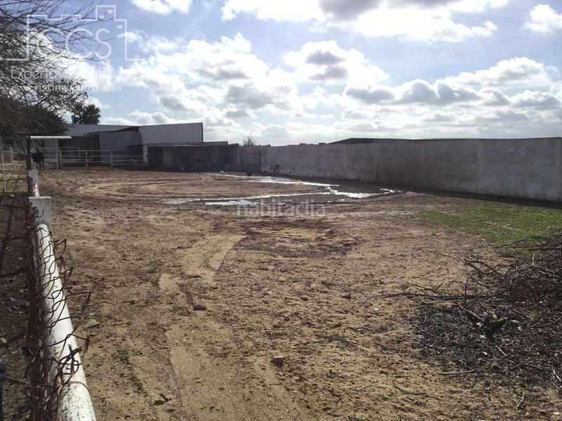 Foto 45249e83-48b7-4f36-92d5-00a589d33b00. Mas dans Almonte Almonte