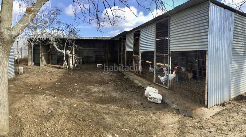 Foto 49c13ad9-134b-46be-af7a-723a12900091. Mas dans Almonte Almonte