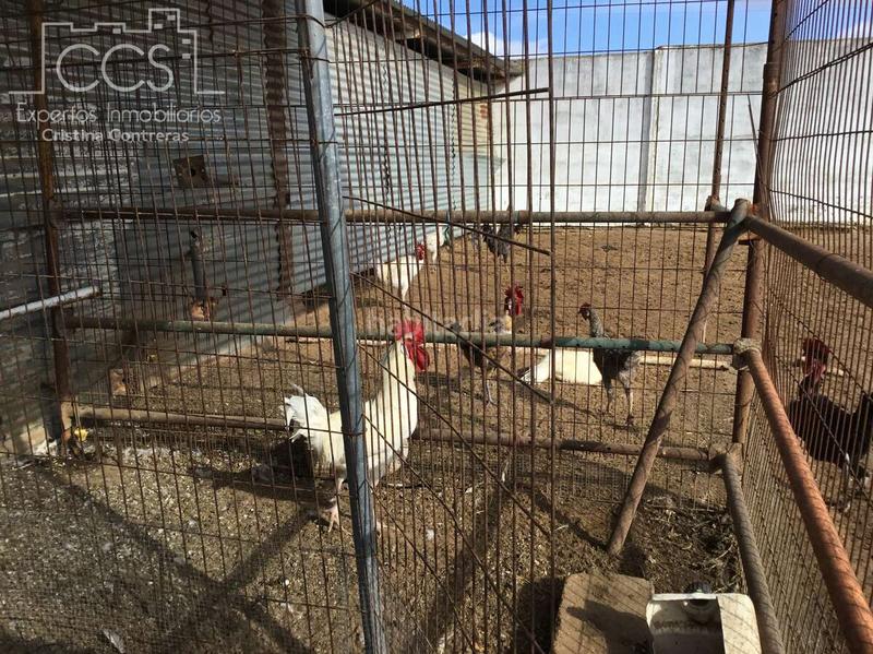 Foto 72e18921-dc0c-4566-b062-0ca1dbe131c6. Mas dans Almonte Almonte