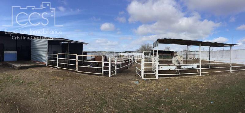 Foto 9f877fd8-95bb-44bd-a917-4fc2e8cc1b0f. Mas dans Almonte Almonte