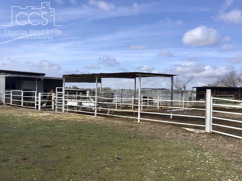 Foto a64127a7-cff0-432b-9662-1f139b72b0d1. Mas dans Almonte Almonte