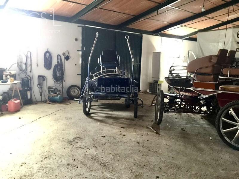 Foto a7f4eaa8-f307-41cc-a27e-dd73612c1109. Mas dans Almonte Almonte