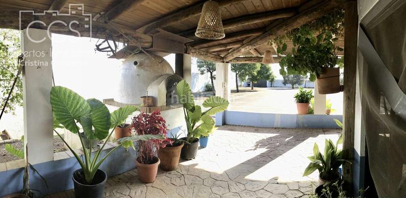 Foto af7b442a-2720-48f5-8e45-0ffb9d869ed2. Mas dans Almonte Almonte