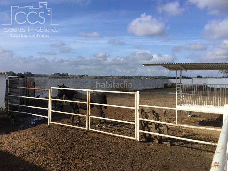 Foto bf941c57-c54a-4a95-ae22-36bdd480580e. Mas dans Almonte Almonte