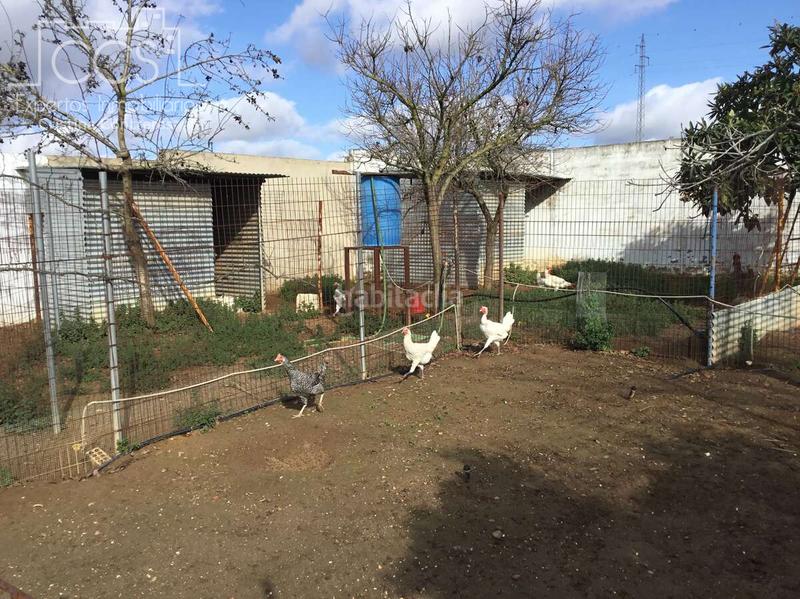 Foto c4bf66a0-63cd-4bca-bea1-1e26f1e053c0. Mas dans Almonte Almonte