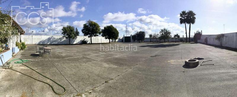 Foto d0f77314-de0f-42cd-8f7d-49adacdf7315. Mas dans Almonte Almonte