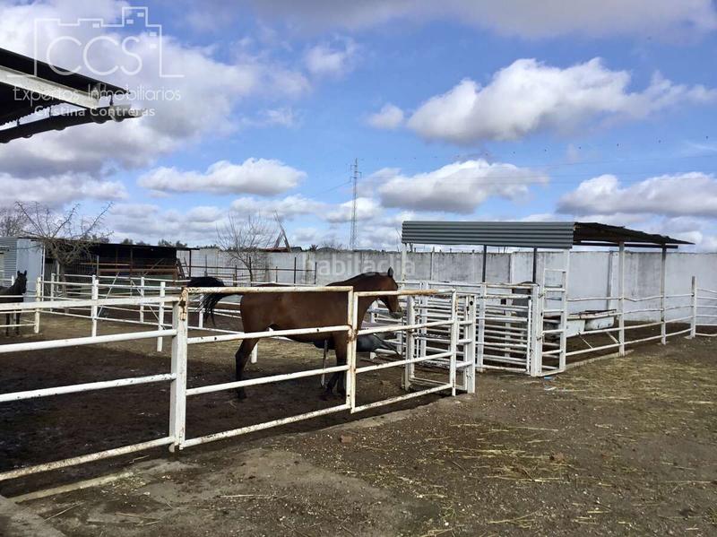 Foto de1c9c98-c5fa-40f2-a544-3e382efbbd6b. Mas dans Almonte Almonte