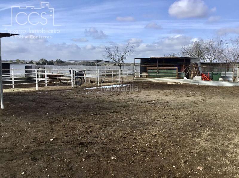 Foto de427dbf-e6af-4346-98e7-6493c77d9d9d. Mas dans Almonte Almonte