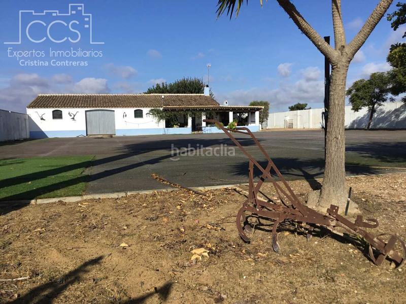 Foto e5bb9db0-c18b-40ed-8b3b-4cb84f64e741. Mas dans Almonte Almonte